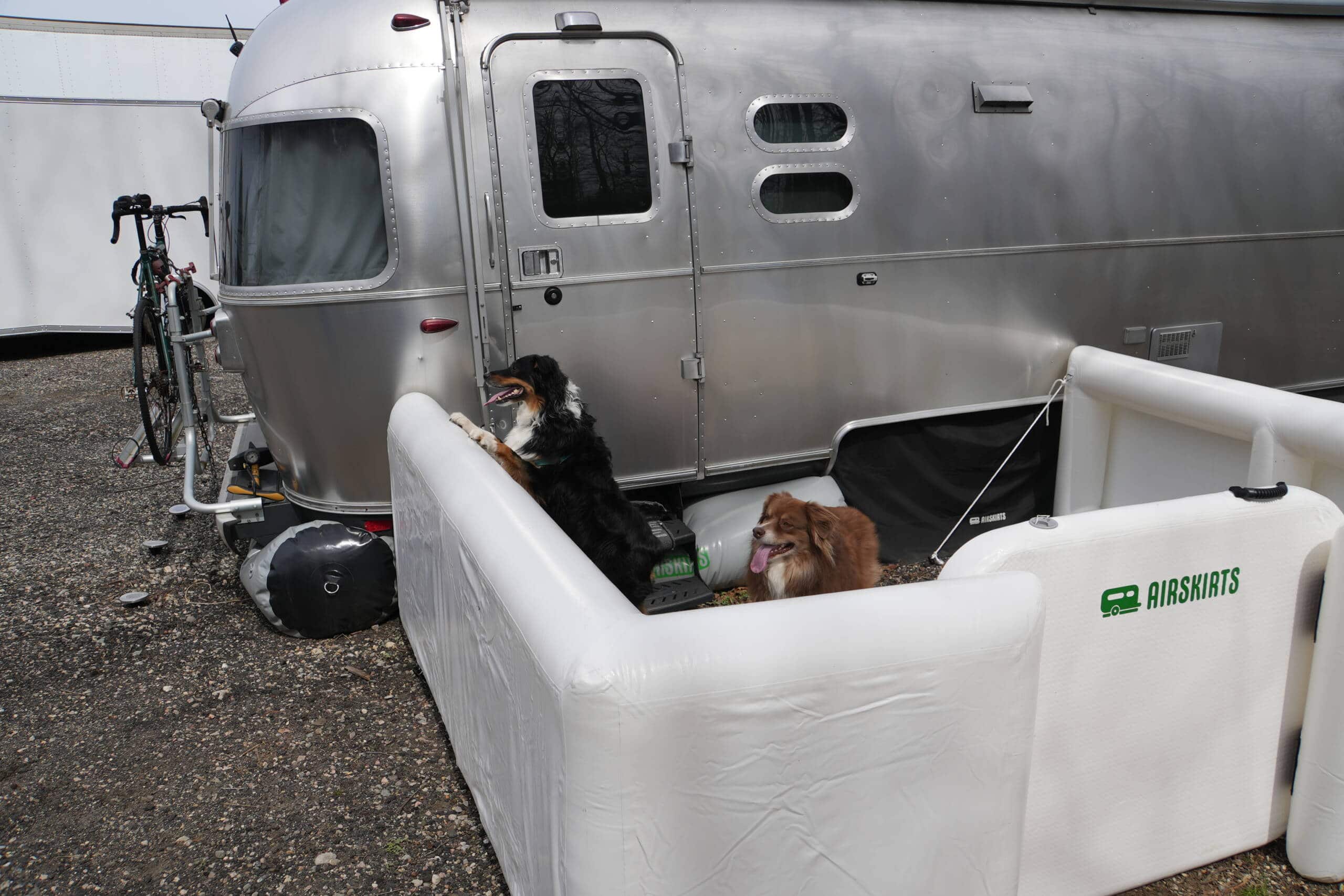 two dogs contained by pet patio fence